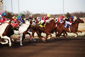 Top 5 Horse Racing Tips India: Tested & Ranked for Indian Players (2026)