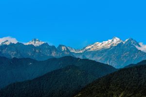 Trending Secure Sikkim Gambling Act: Complete 2026 Guide for Indian Players